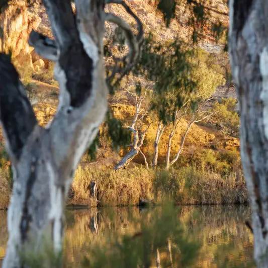 Bookie Cliffs - What to do on the Murray