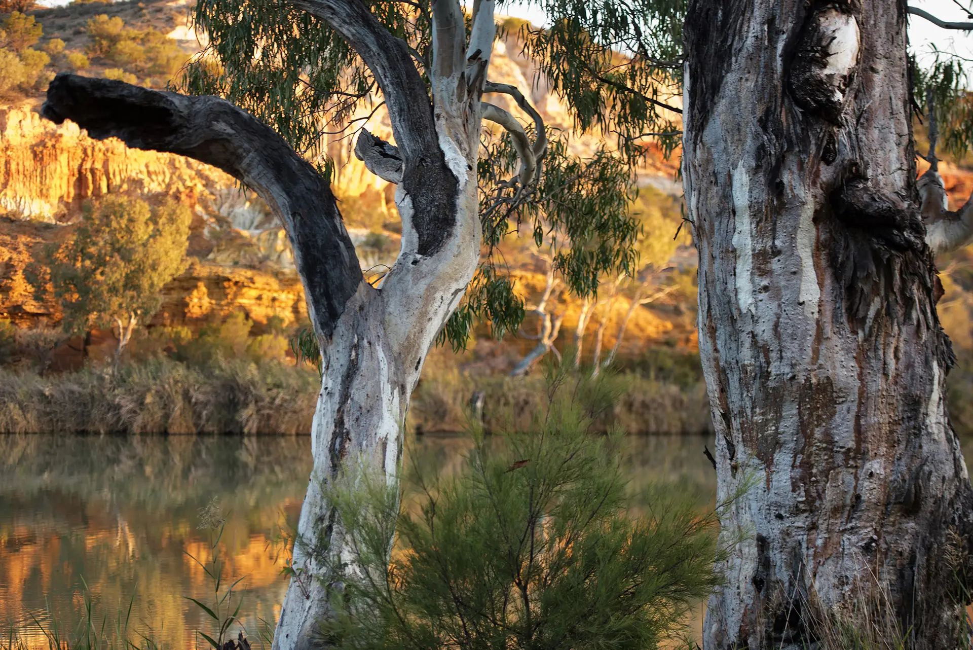 Bookie Cliffs - What to do on the Murray