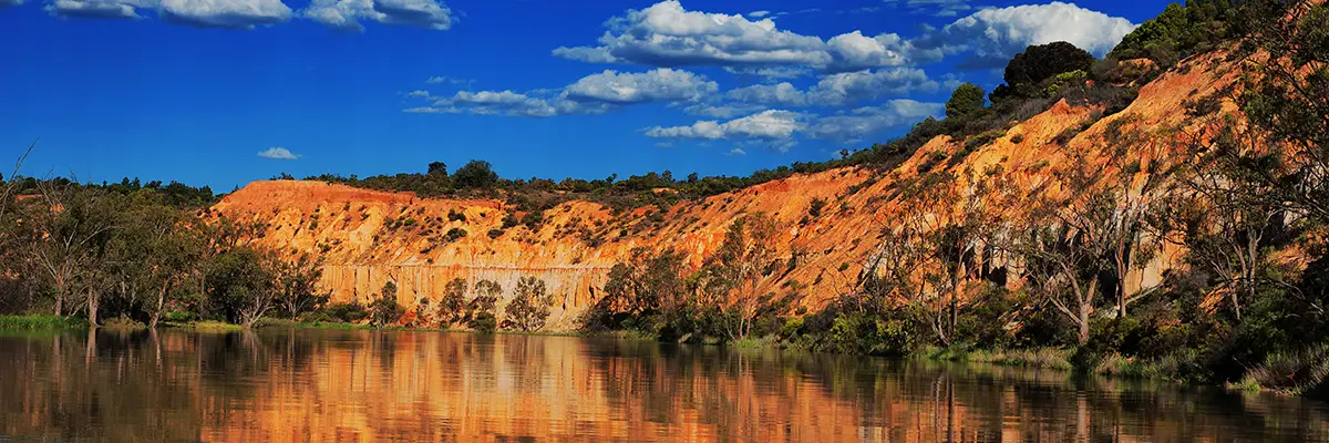 Headings Cliff - What to do on the Murray