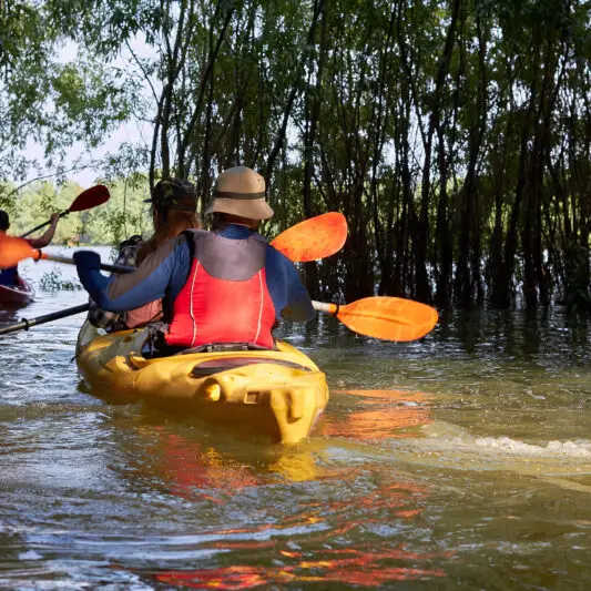 couple-paddle-a-yellow-kayak-in-wilderness-areas-a-2025-10-14-17-16-49-utc