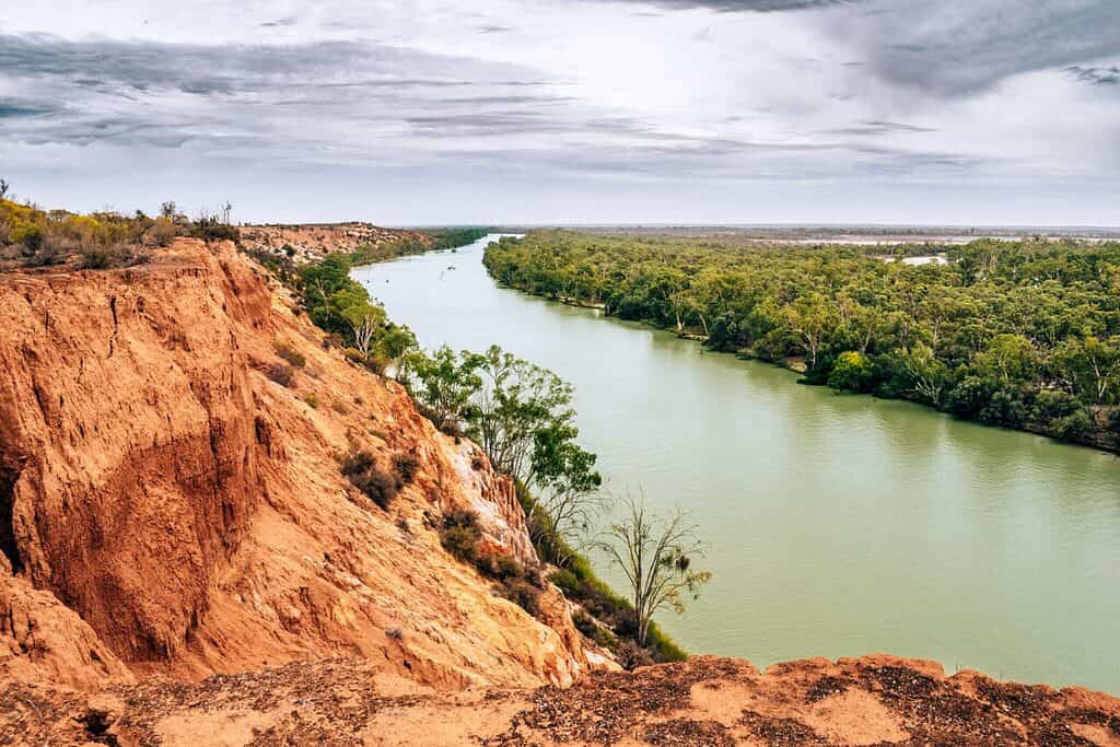 Headings Cliffs - What to do on the Murray